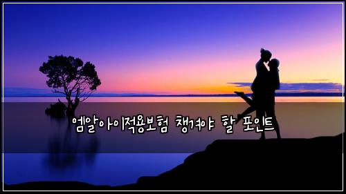 엠알아이적용보험 챙겨야 할 포인트