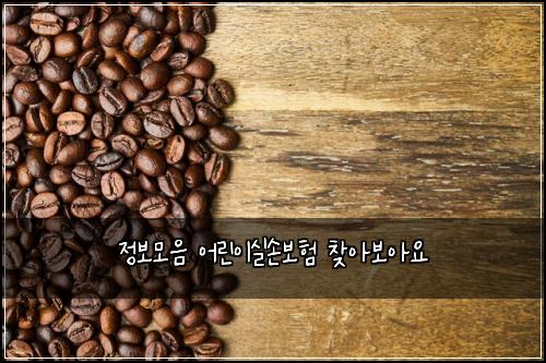 정보모음 어린이실손보험 찾아보아요 