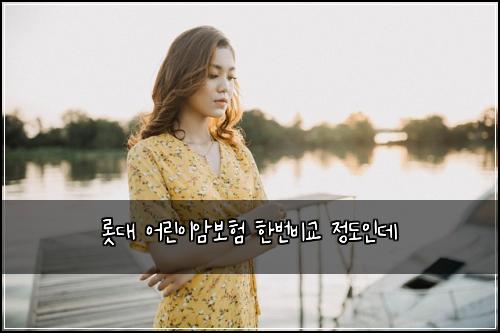 λ‘―λ μ΄λ¦°μ΄μ보ν νλ²λΉκ΅ μ λμΈλ°