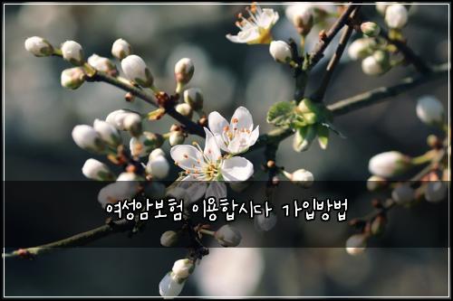 μ¬μ±μ보ν μ΄μ©ν©μλ€ κ°μ
λ°©λ²