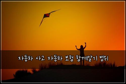 자동차 사고 자동차 보험 함께알기  범위