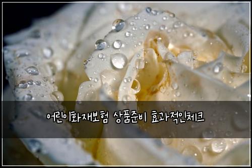 어린이화재보험 상품준비  효과적인체크