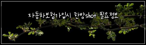 자동차보험가입시 한방shot 필요정보
