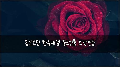 종신보험 한큐해결  중도인출 보장변동