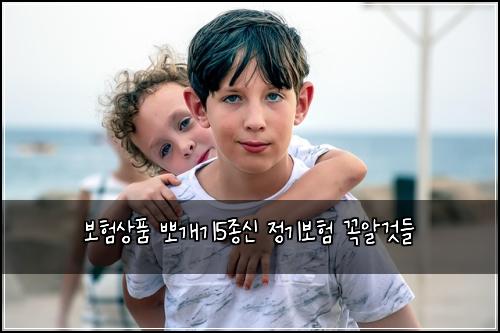 보험상품 뽀개기5종신 정기보험 꼭알것들