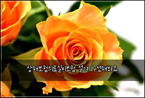 상해보험의료실비보험 설계 구성해봐요