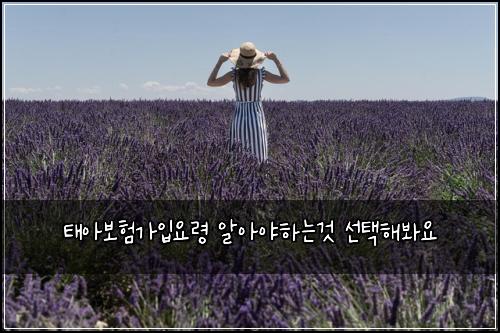 태아보험가입요령 알아야하는것 선택해봐요