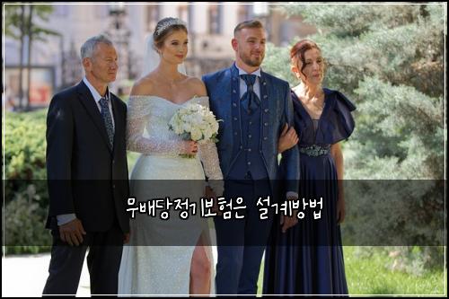 무배당정기보험은 설계방법