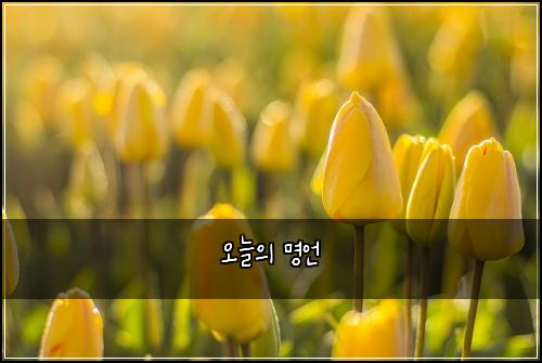오늘의 명언