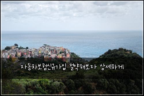 자동차보험신규가입 절약해보자 상세하게