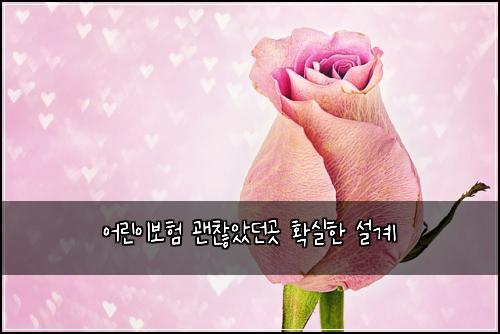 어린이보험 괜찮았던곳  확실한 설계