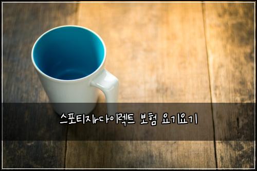스포티지r다이렉트 보험 요기요기 