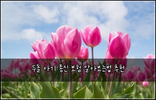 두돌 아기 종신 보험 알아보는법  추천