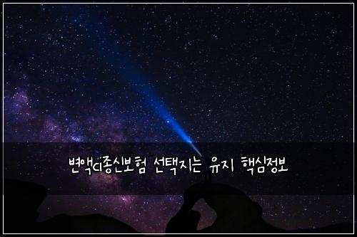 변액ci종신보험 선택지는  유지 핵심정보