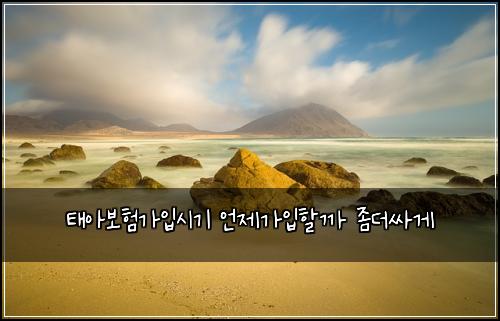 태아보험가입시기 언제가입할까 좀더싸게