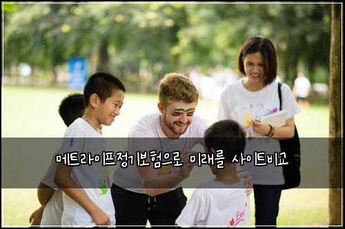 메트라이프정기보험으로 미래를 사이트비교