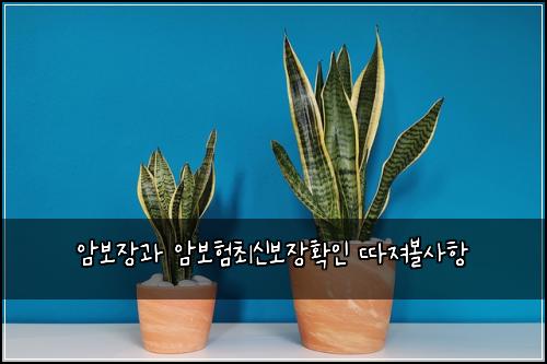 암보장과 암보험최신보장확인 따져볼사항