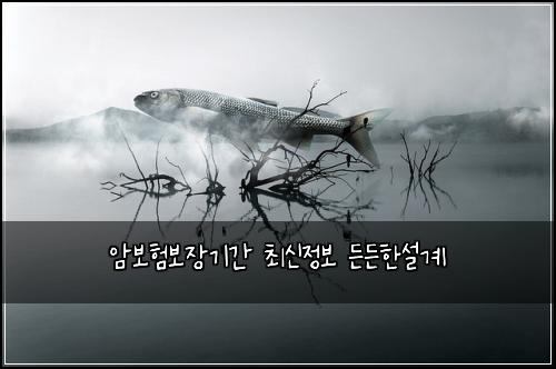 암보험보장기간 최신정보 든든한설계