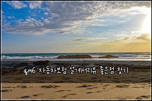 qm6 자동차보험 설계서리뷰  좋은점 찾기