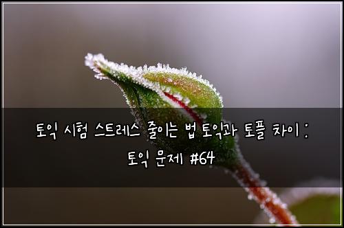 토익 시험 스트레스 줄이는 법 토익과 토플 차이 : 토익 문제 #64