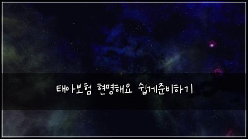 태아보험 현명해요  쉽게준비하기