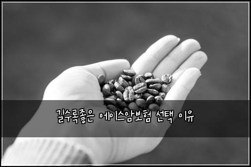 길수록좋은 에이스암보험 선택 이유