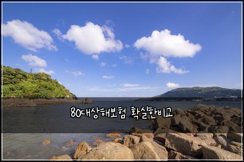 80대상해보험 확실한비교 