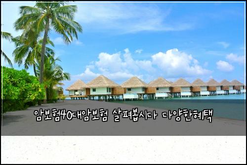 암보험40대암보험 살펴봅시다 다양한혜택