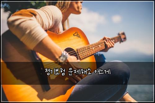 정기보험 문제해소  어느게