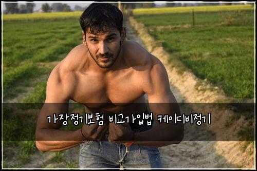 가장정기보험 비교가입법  케이디비정기