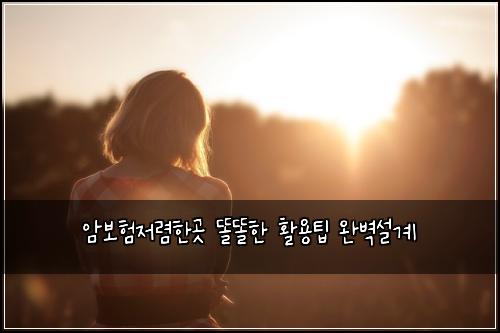 ์๋ณดํ์ ๋ ดํ๊ณณ ๋๋ํ ํ์ฉํ ์๋ฒฝ์ค๊ณ