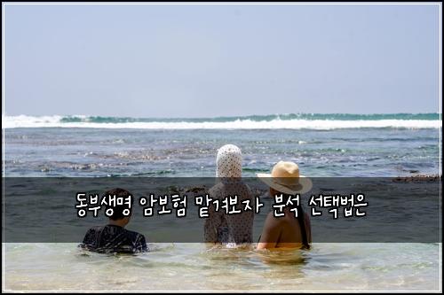 동부생명 암보험 맡겨보자  분석 선택법은