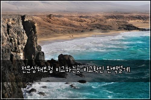 전문상해보험 비교하는곳  비교확인 완벽설계