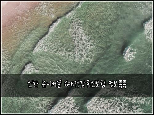 신한 유니버셜 6대건강종신보험 정보톡톡 