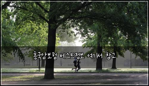 흥국암보험 베스트정보  여기서 참고