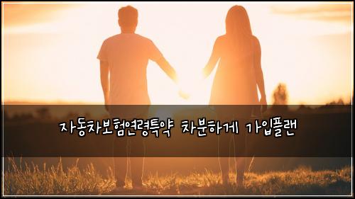 자동차보험연령특약 차분하게 가입플랜