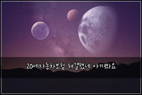 20세자동차보험 해결했네  아껴봐요