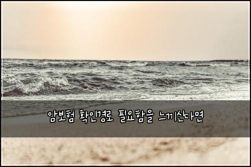암보험 확인경로  필요함을 느끼신다면