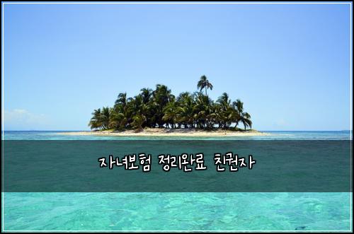 자녀보험 정리완료  친권자