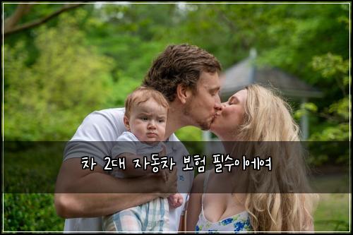 차 2대 자동차 보험 필수이에여 