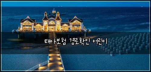 태아보험 경로확인  어린이