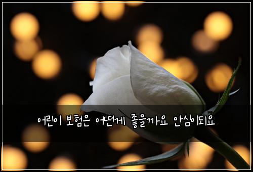 어린이 보험은 어떤게 좋을까요 안심이되요
