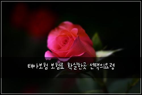 태아보험 보험료 확실한곳 선택의요령