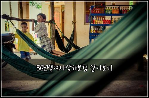 56년생여자상해보험 알아보기 