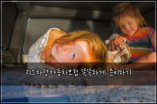 리스차량자동차보험 똑똑하게 준비하기