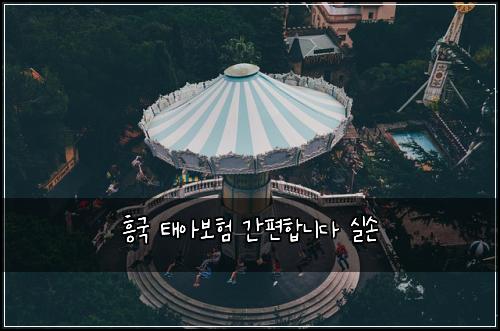 흥국 태아보험 간편합니다  실손