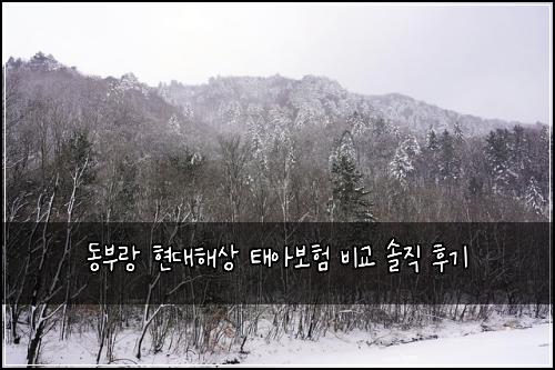 동부랑 현대해상 태아보험 비교 솔직 후기