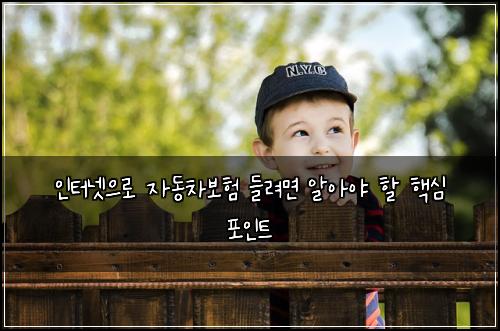 인터넷으로 자동차보험 들려면 알아야 할 핵심 포인트