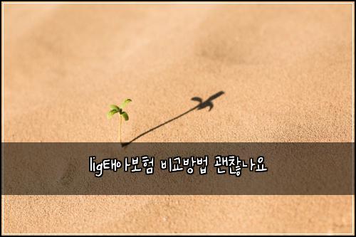 ligํ์๋ณดํ ๋น๊ต๋ฐฉ๋ฒ ๊ด์ฐฎ๋์