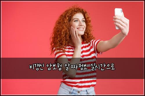 비갱신 암보험 알짜정보  실시간으로